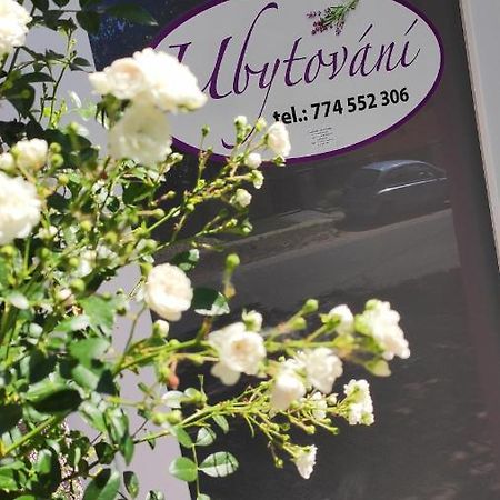 Apartman Cafe U Kordulky Ratiskovice Екстер'єр фото